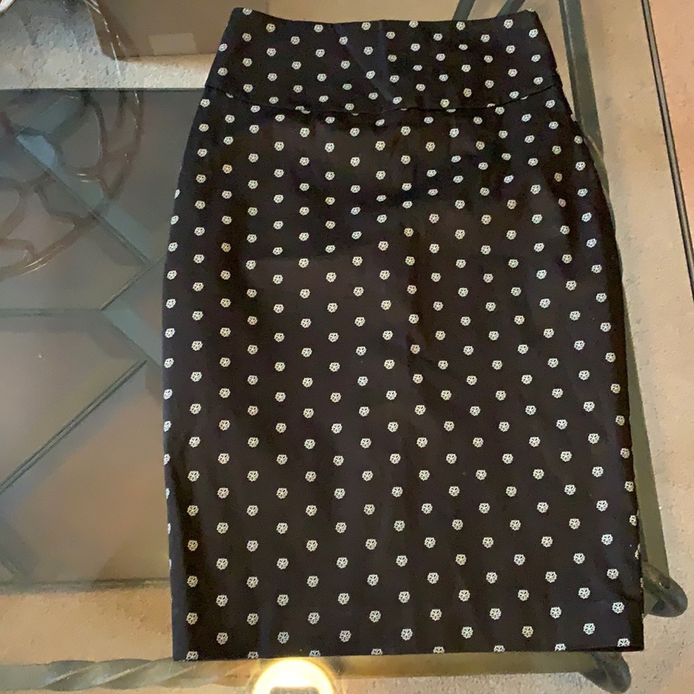 Express Skirt
